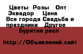 Цветы. Розы.  Опт.  Эквадор. › Цена ­ 50 - Все города Свадьба и праздники » Другое   . Бурятия респ.